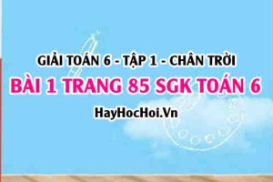 Giải bài 1 trang 85 Toán 6 Tập 1 SGK Chân trời sáng tạo